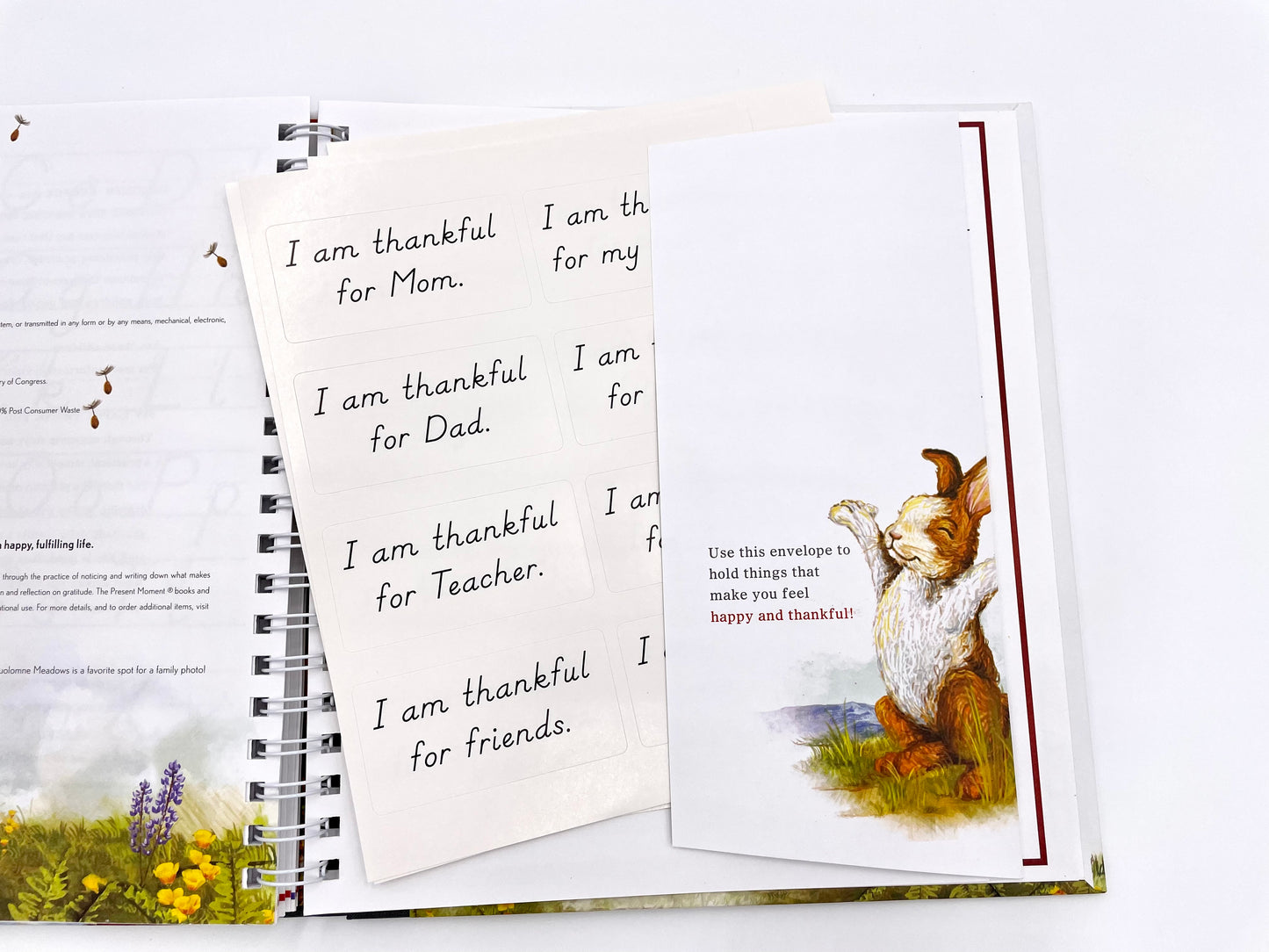 Book- My Happy Thank You Journal